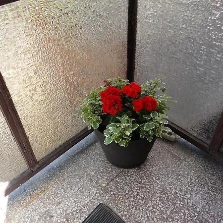 Alloggio in famiglia Stefanka *