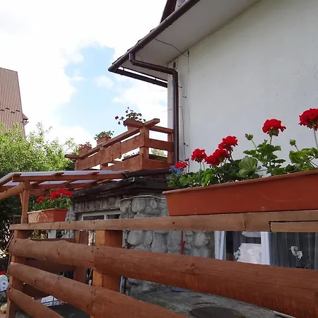 Stefanka Alloggio in famiglia